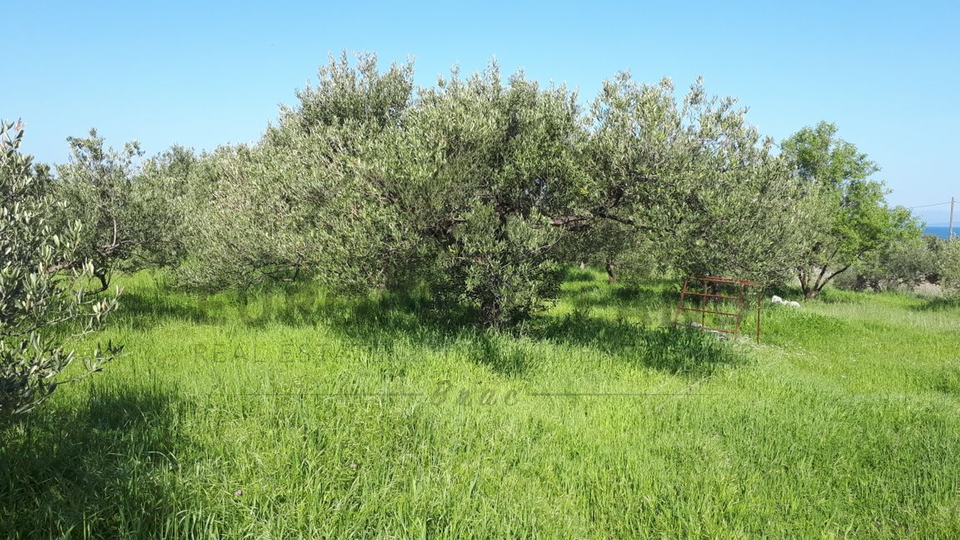 Građevinsko zemljište u Mircima (zona T2)