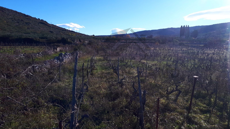 Poljoprivredno zemljište – Nerežišća