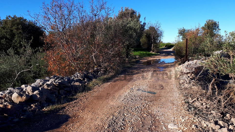 Poljoprivredno zemljište – poviše Supetra