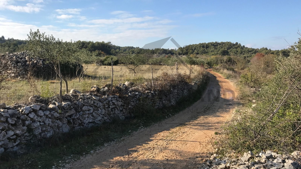 Agricultural land in Donji Humac