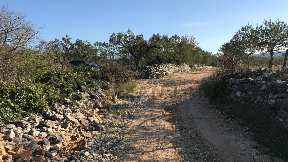 Agricultural land in Donji Humac