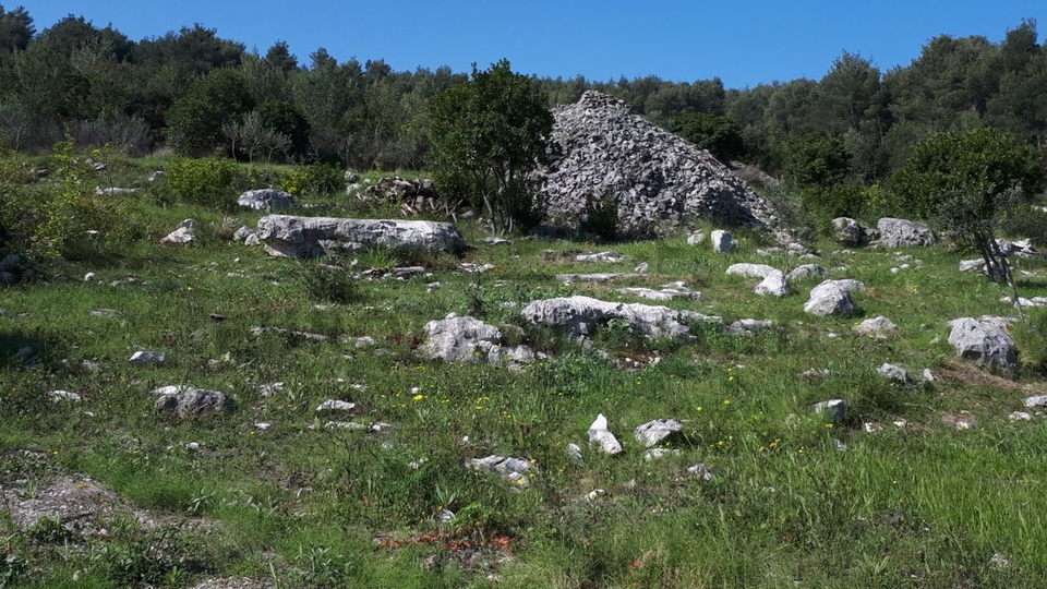 Grundstück, 4740 m2, Verkauf, Sutivan