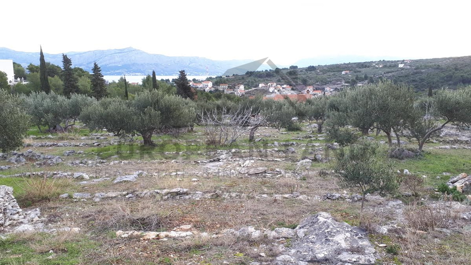 Poljoprivredno zemljište sa kućom - Splitska