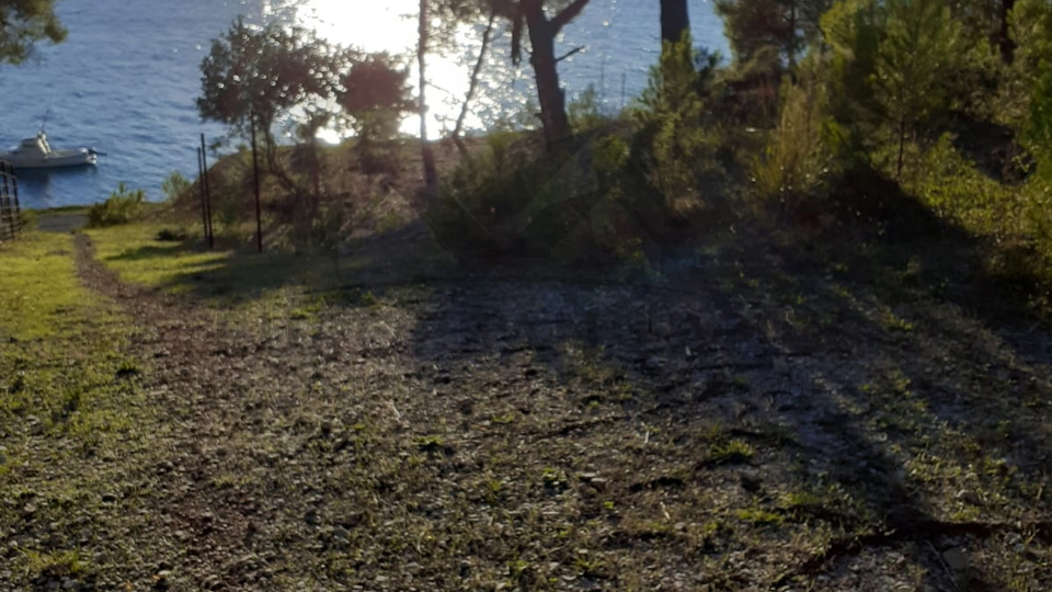 AGRICULTURAL LAND - FIRST ROW TO THE SEA