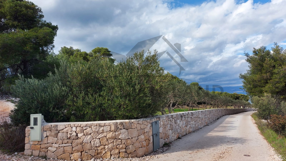 Maslinik - Mirca, otok Brač