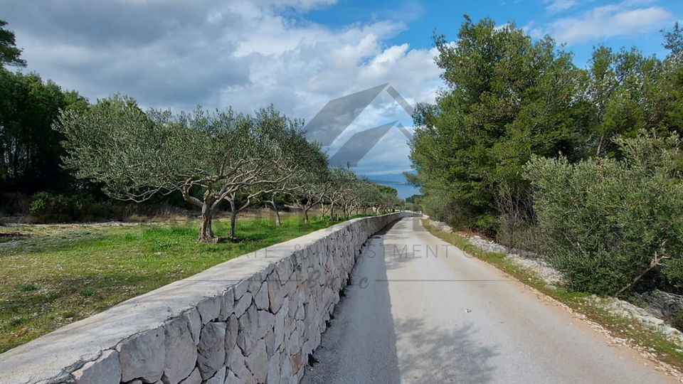 Maslinik - Mirca, otok Brač