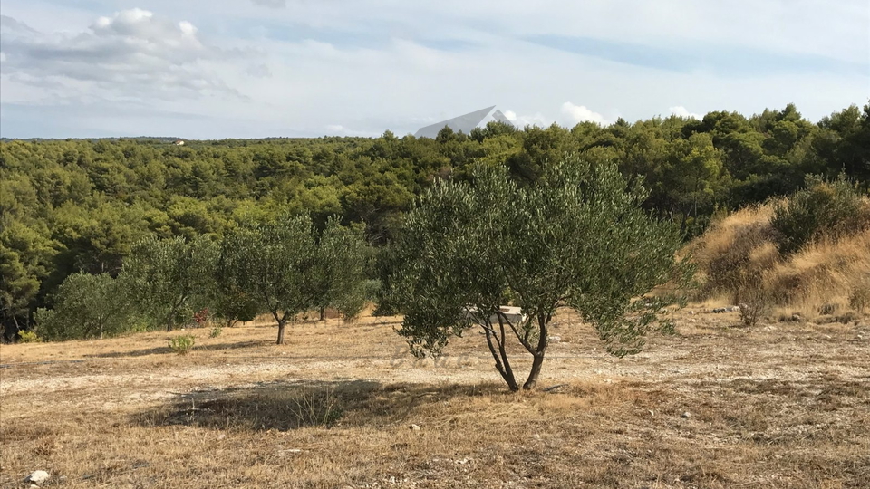 Prodaja, Zemljište, Poljoprivredna površina, Splitsko-dalmatinska županija, Sutivan