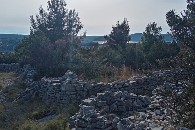 OPPORTUNITY - AGRICULTURAL LAND / MILNA