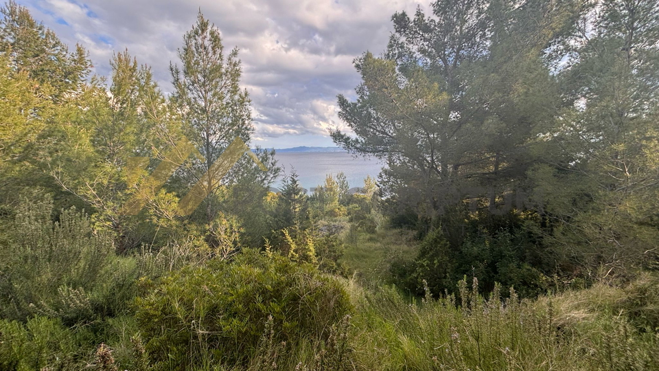 HVAR, AGRICULTURAL LAND, FIRST ROW BY THE SEA