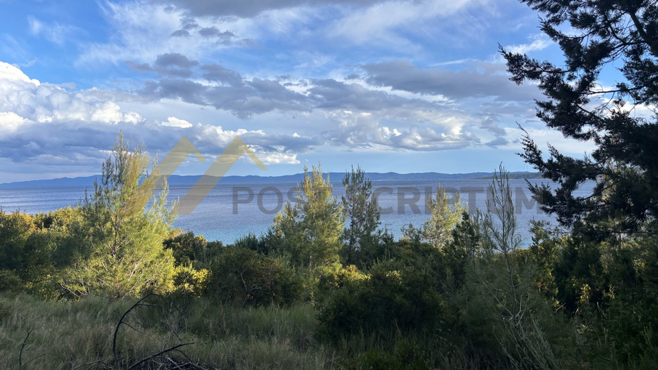 HVAR, AGRICULTURAL LAND, FIRST ROW BY THE SEA