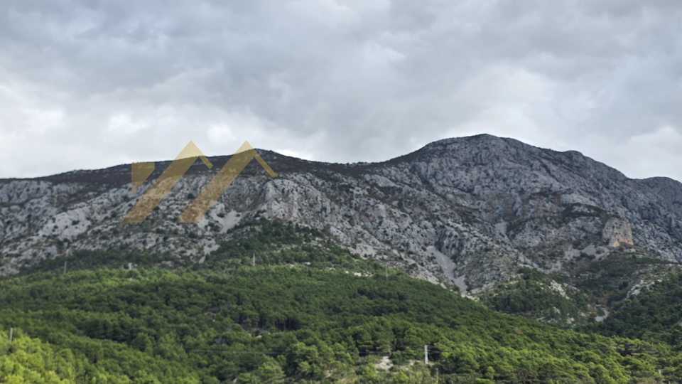 MALA DUBA, BOUTIQUE HOTEL, PRVI RED DO MORA