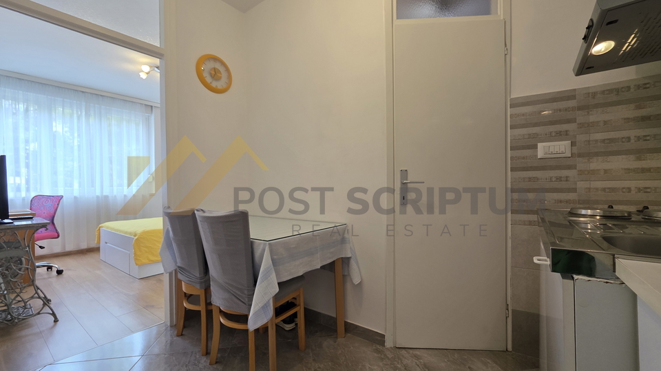 RAVNE NJIVE&comma; RENOVIRAN JEDNOSOBAN S DRVARNICOM