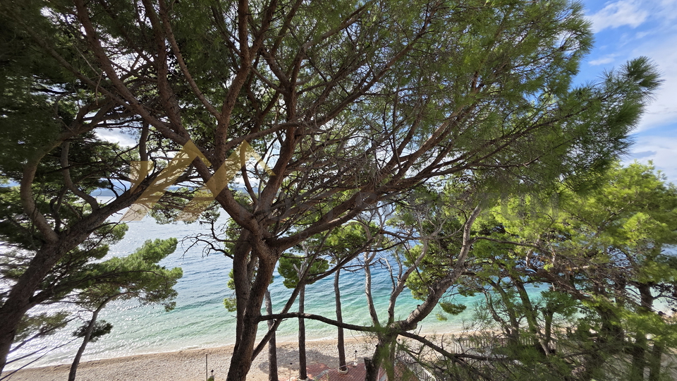 MALA DUBA, BOUTIQUE HOTEL, PRVI RED DO MORA