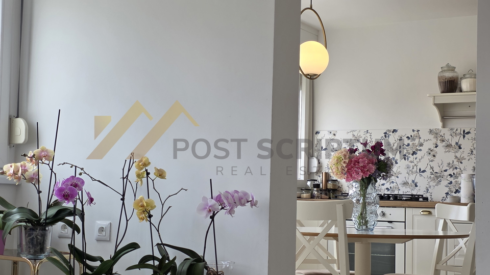 GRIPE&comma; KOMFORAN JEDNOSOBAN &Scaron;ARMANTNOG URE&Dstrok;ENJA