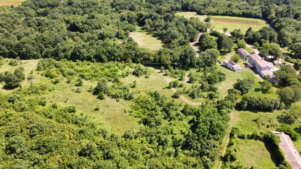 Grundstück, 19537 m2, Verkauf, Barban