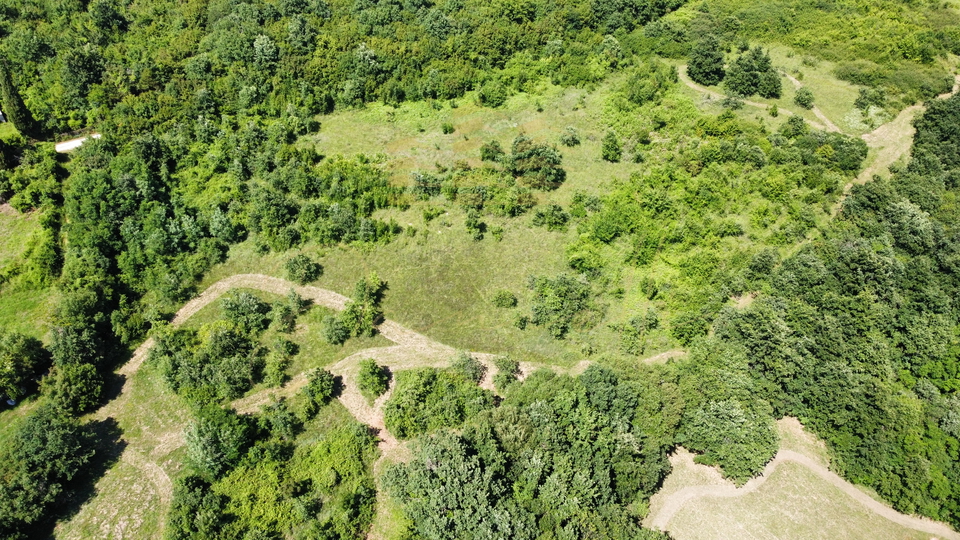 Grundstück, 19537 m2, Verkauf, Barban