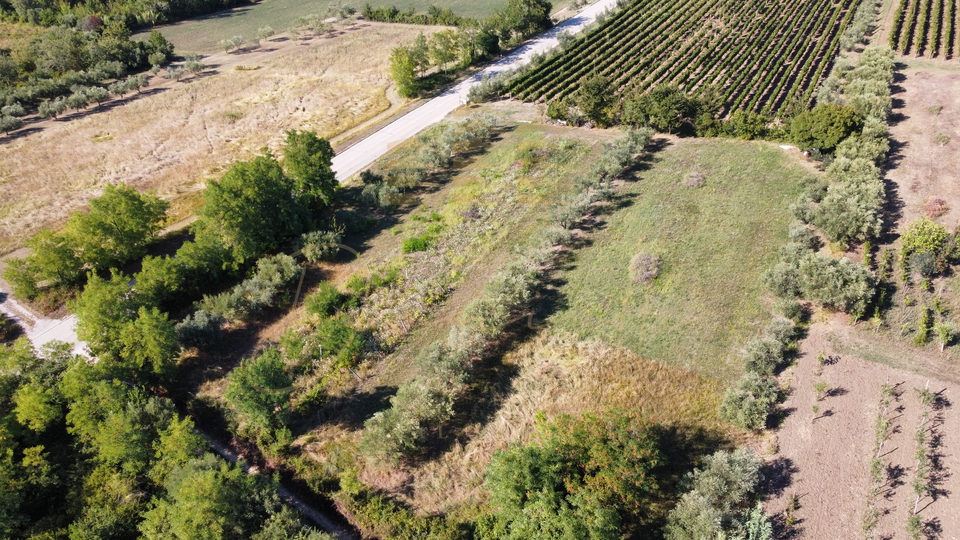 Land, 5744 m2, For Sale, Brtonigla