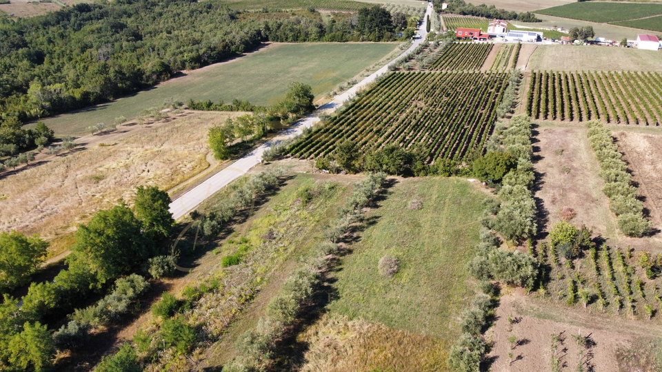 Land, 5744 m2, For Sale, Brtonigla