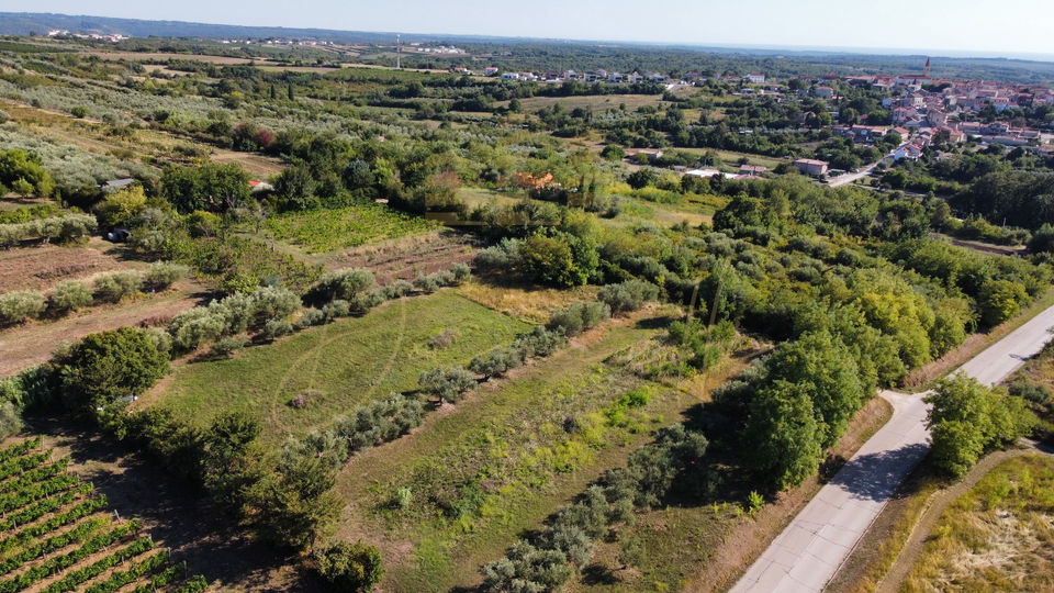 Land, 5744 m2, For Sale, Brtonigla