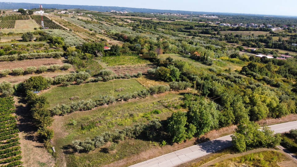 Land, 5744 m2, For Sale, Brtonigla