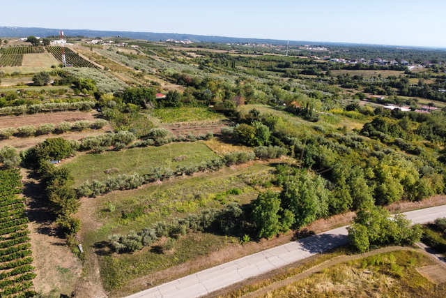 Land, 5744 m2, For Sale, Brtonigla