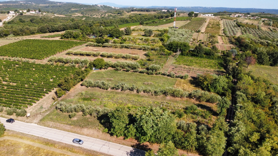 Land, 5744 m2, For Sale, Brtonigla