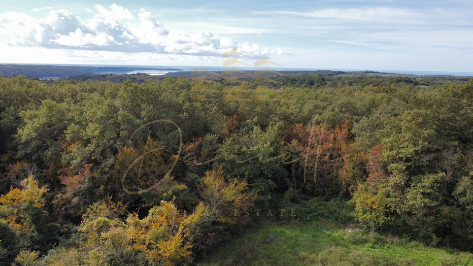 Atraktivno Gra&dstrok;evinsko zemlji&scaron;te