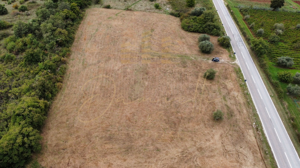 Terreno&comma; 729 m2&comma; Vendita&comma; Umag