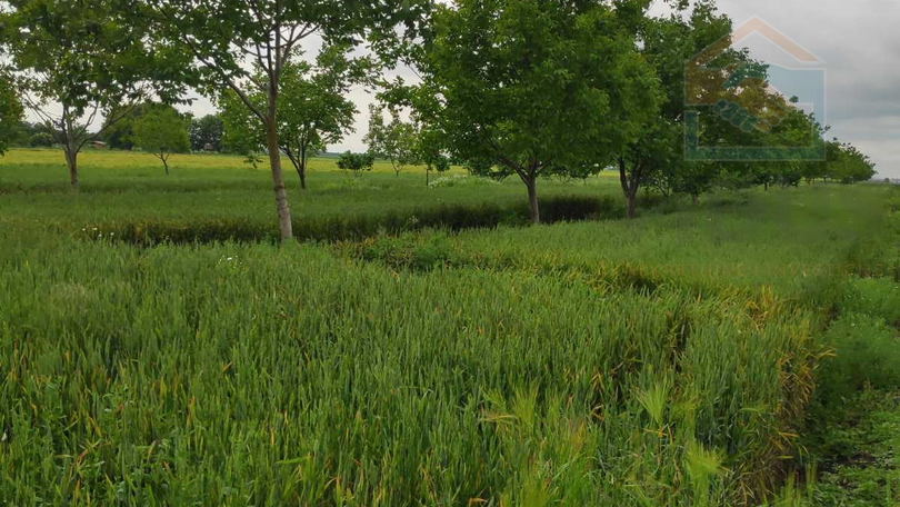 Terreno, 4892 m2, Vendita, Osijek - Tenja