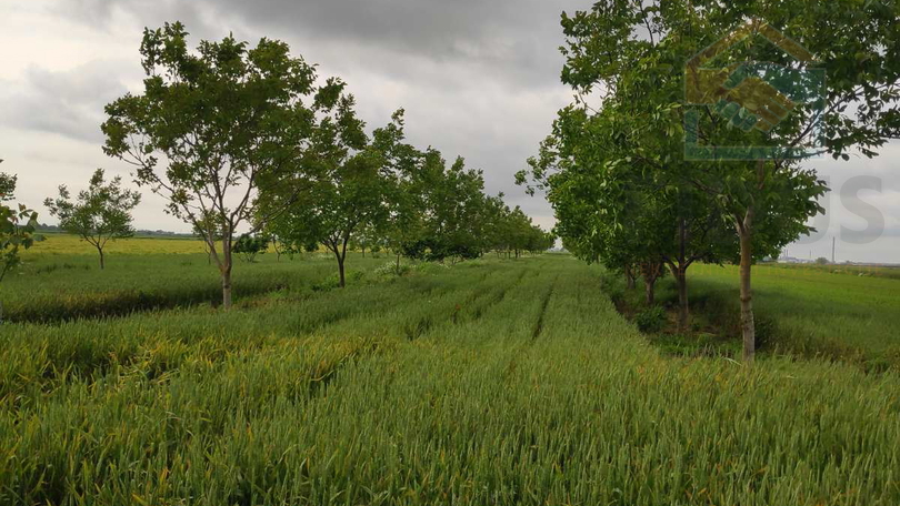 Terreno, 4892 m2, Vendita, Osijek - Tenja