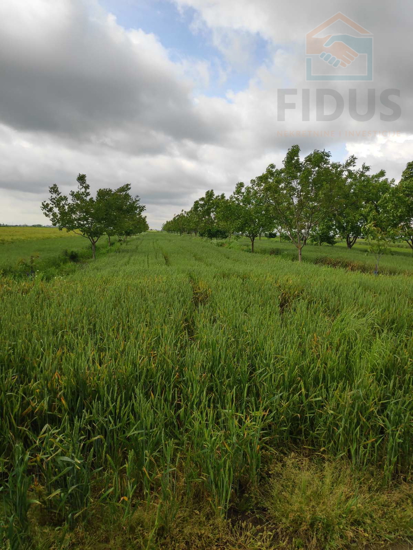 Poljoprivredno zemljište -Tenja