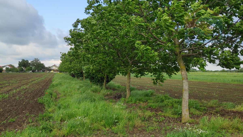 Terreno, 1667 m2, Vendita, Osijek - Tenja