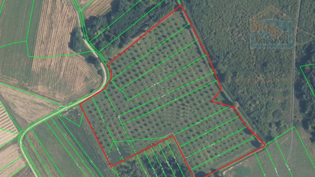 Land, 51304 m2, For Sale, Pribiševci