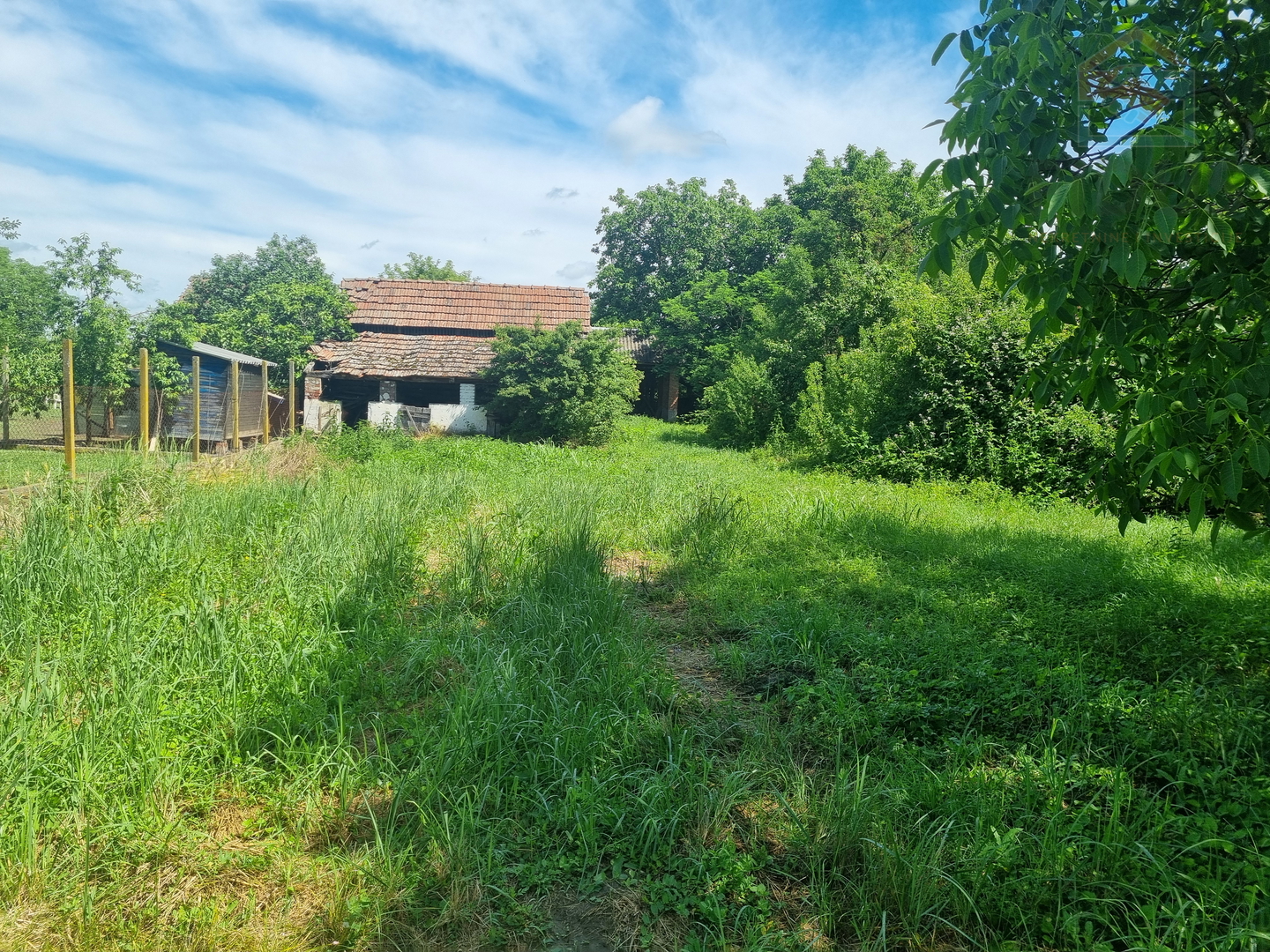 Manja kuća s velikom okućnicom  - Palača