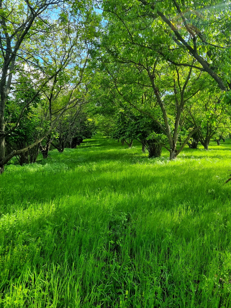 Kuća za odmor - Podolje