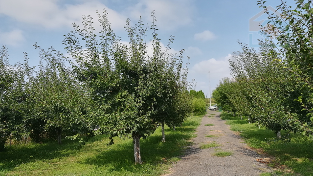 Terreno, 3437 m2, Vendita, Osijek - Industrijska zona