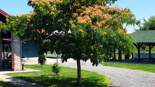 Gospodarska zgrada za poljoprivrednu namjenu  - Darda