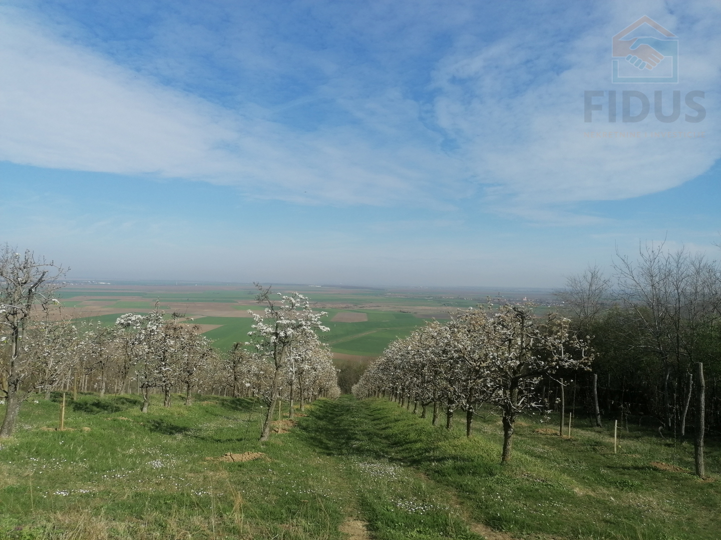 Obiteljsko imanje - Popovac/Baranja