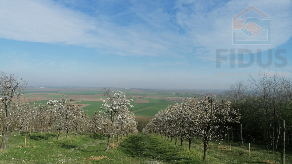 Obiteljsko imanje - Popovac&sol;Baranja