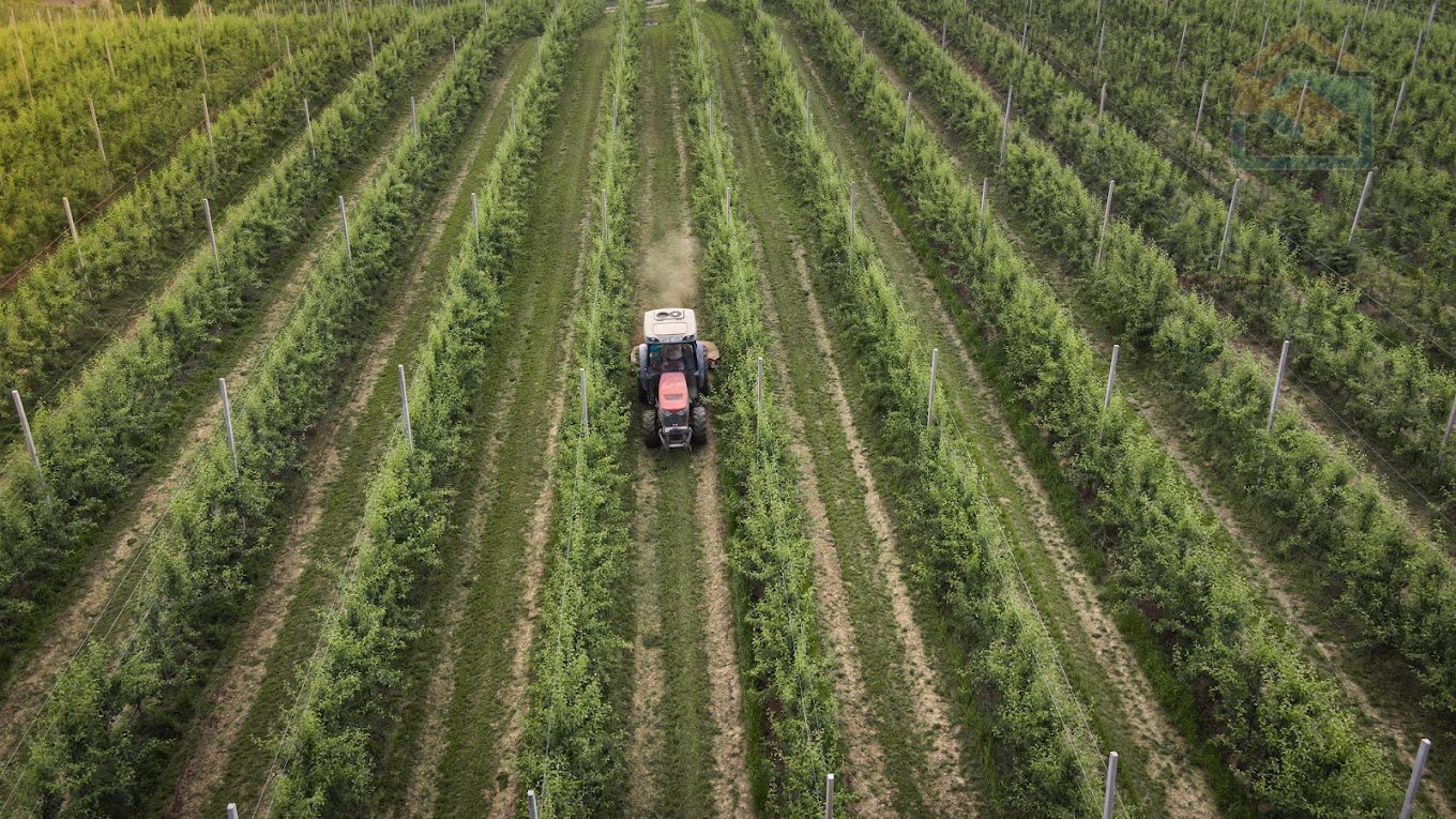 Poljoprivredno zemljište -17,5ha