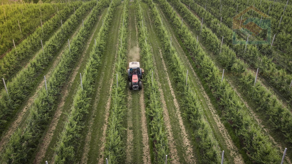 Poljoprivredno zemlji&scaron;te - 30ha