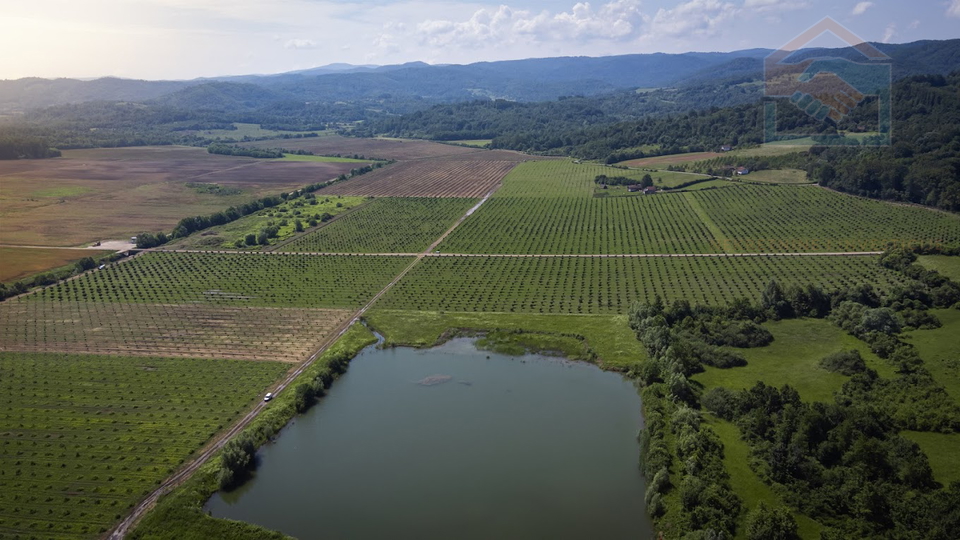 Land&comma; 175000 m2&comma; For Sale&comma; Gradi&scaron;ka