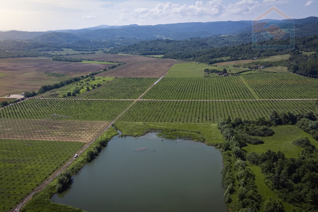 Poljoprivredno zemljište - 217 ha