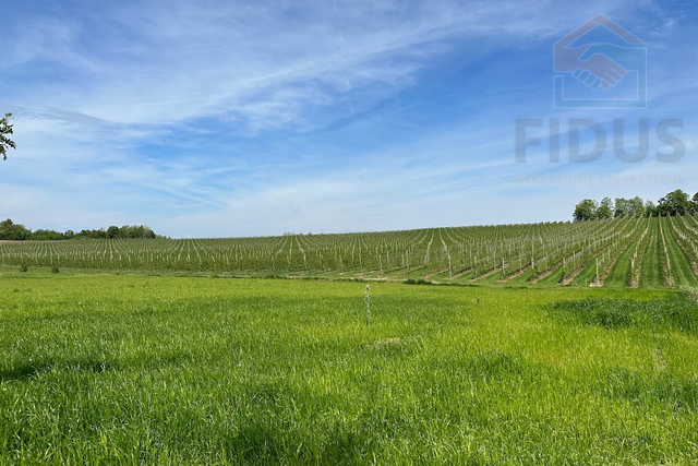 Poljoprivredno zemljište -17,5ha