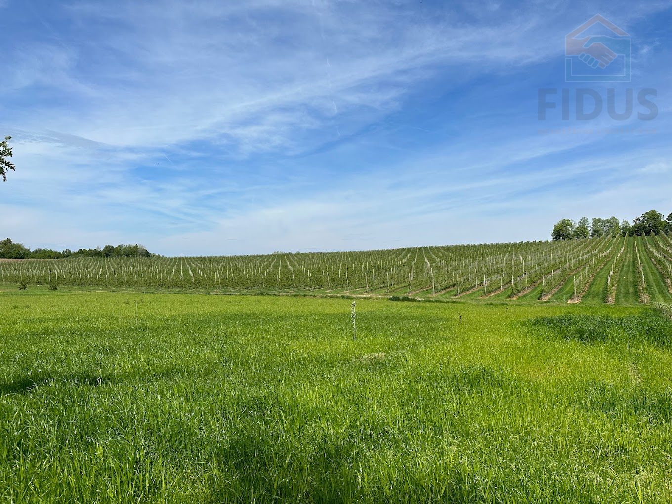 Poljoprivredno zemljište - 30ha