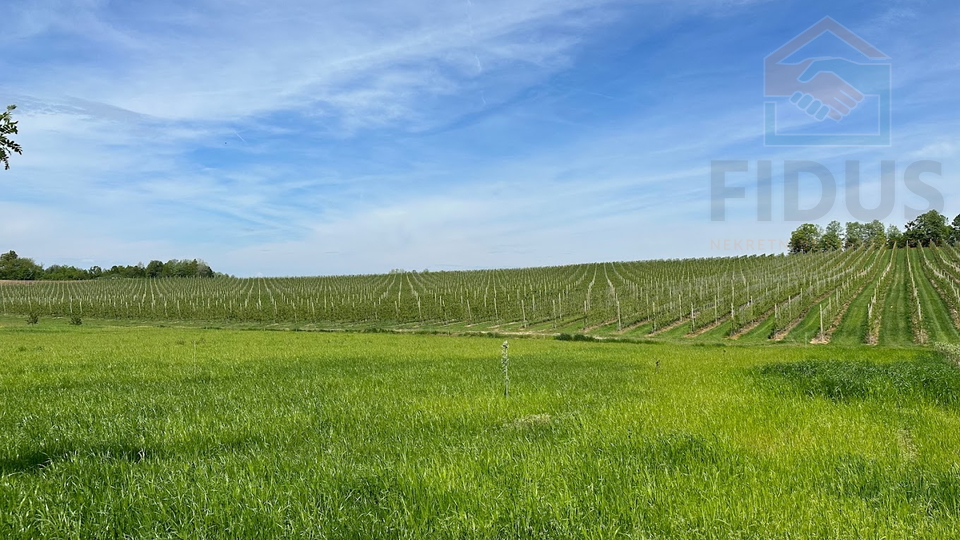 Land&comma; 2180000 m2&comma; For Sale&comma; Gradi&scaron;ka
