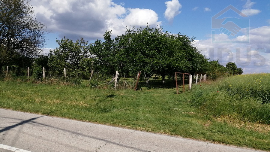 Land&comma; 3657 m2&comma; For Sale&comma; Erdut
