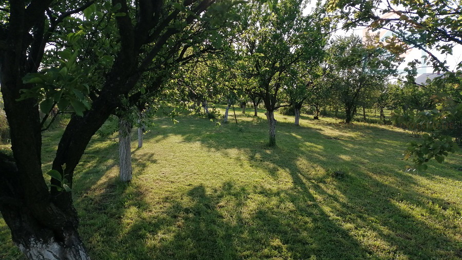 Land&comma; 3657 m2&comma; For Sale&comma; Erdut