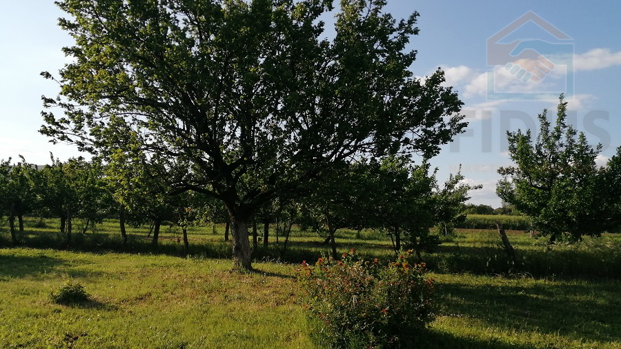Land&comma; 3657 m2&comma; For Sale&comma; Erdut