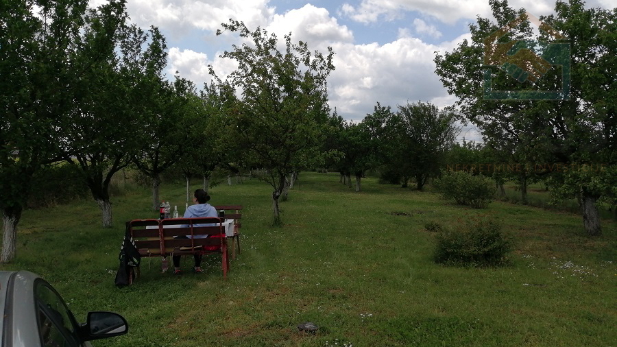 Land&comma; 3657 m2&comma; For Sale&comma; Erdut